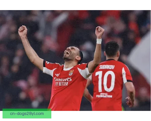 本菲卡视频揭穿皇马谎言真相曝